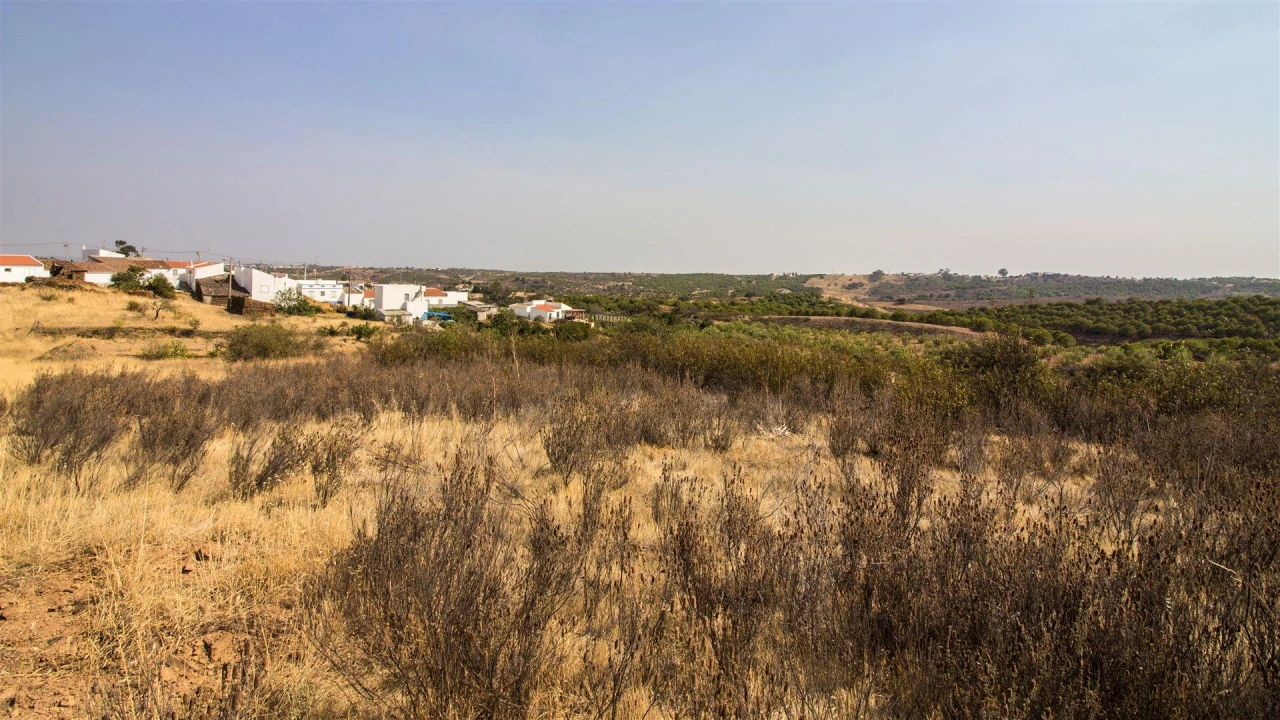 Terreno Agricola ou Rústico para Venda em Azinhal Foto 4