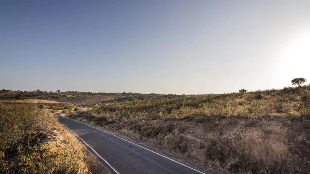 Terreno Agricola ou Rústico para Venda em Azinhal Foto 3