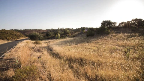 Terreno Agricola ou Rústico para Venda em Azinhal