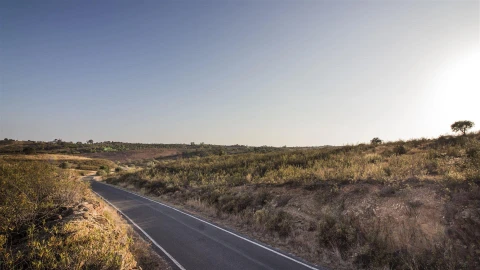Terreno Agricola ou Rústico para Venda em Azinhal