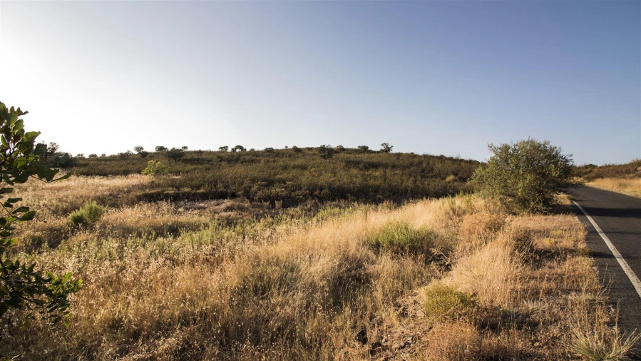 Terreno Agricola ou Rústico para Venda em Azinhal Foto 2