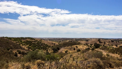Terreno Agricola ou Rústico para Venda em Castro Marim
