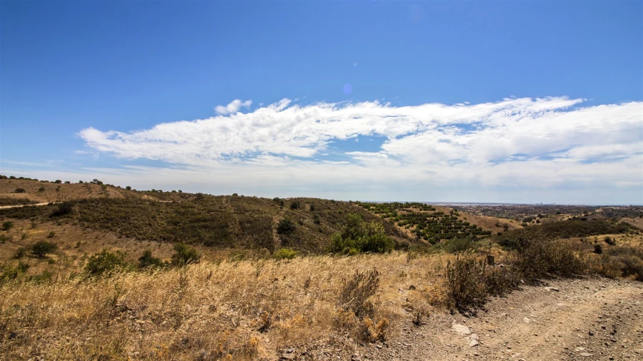 Terreno Agricola ou Rústico para Venda em Castro Marim Foto 3