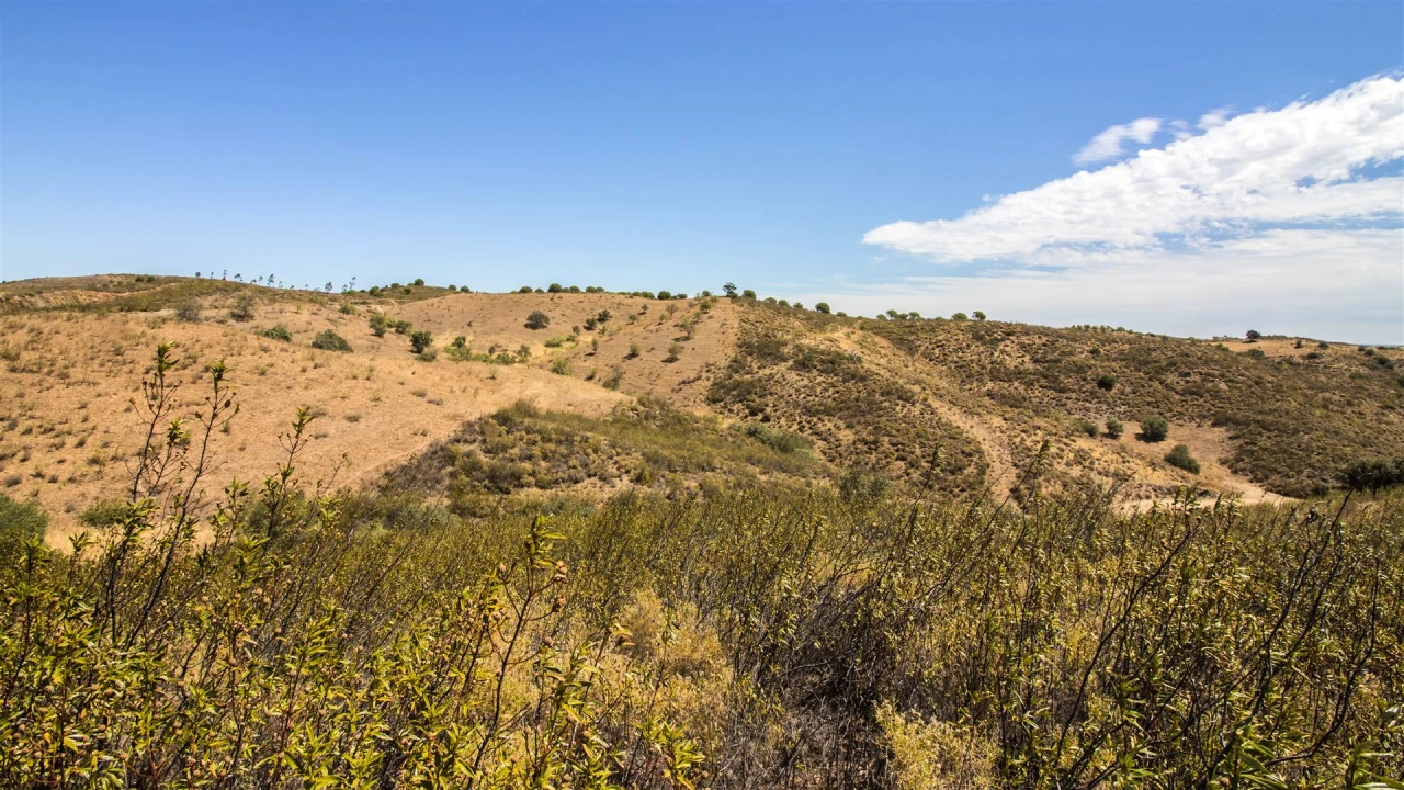 Terreno Agricola ou Rústico para Venda em Castro Marim Foto 7