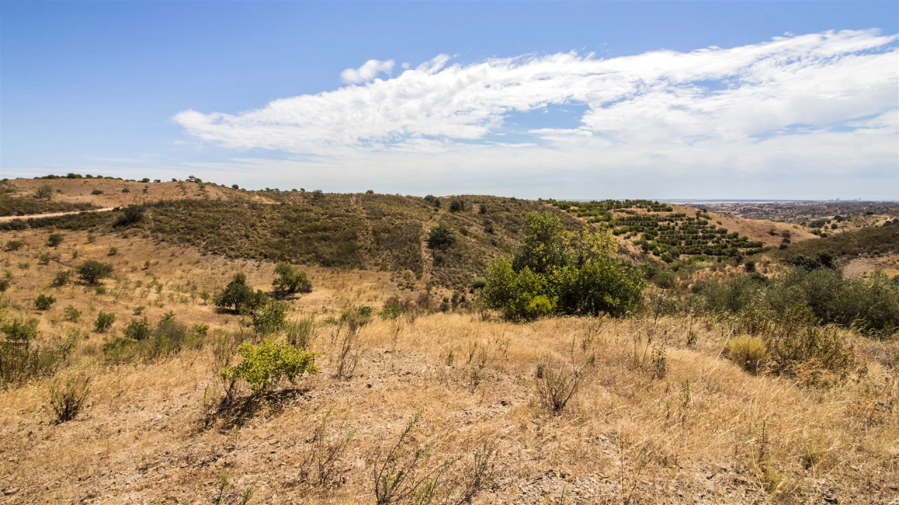 Terreno Agricola ou Rústico para Venda em Castro Marim Foto 4