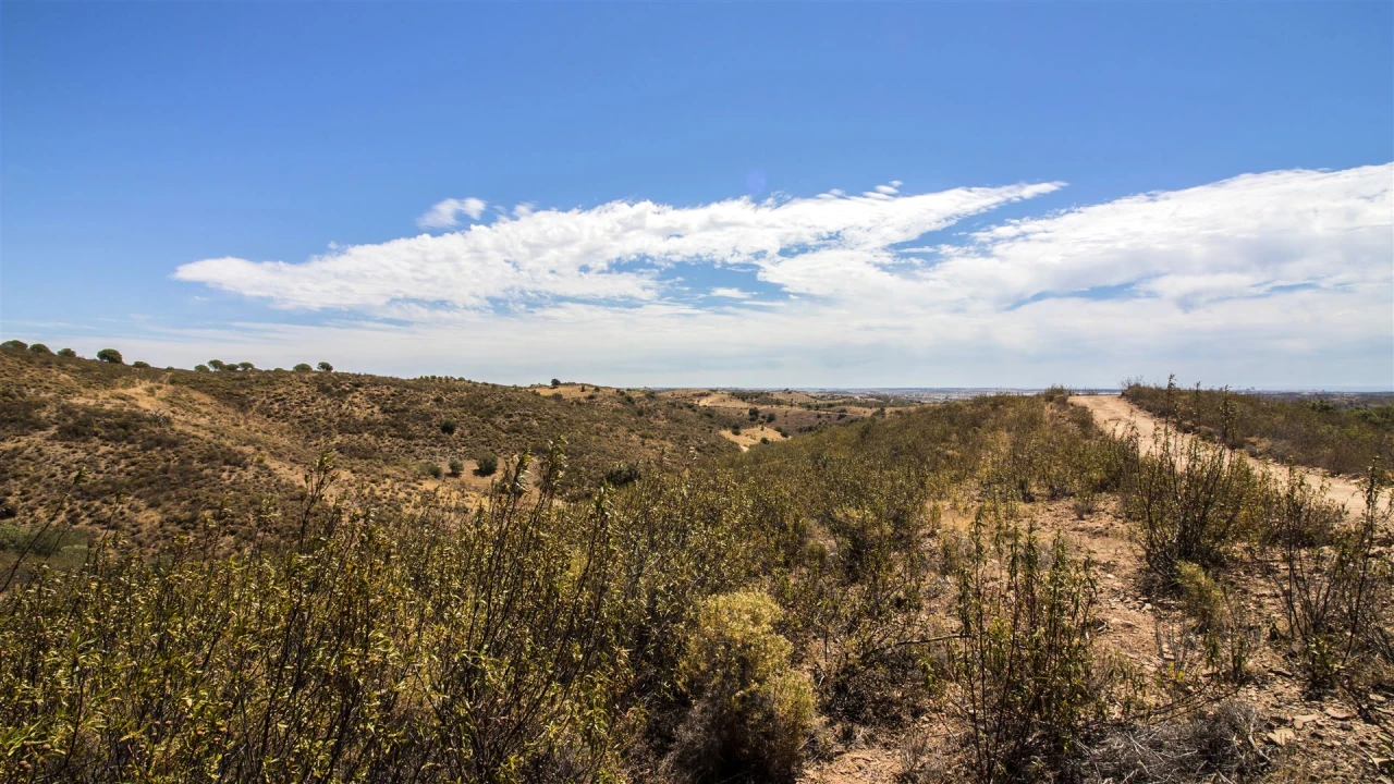 Terreno Agricola ou Rústico para Venda em Castro Marim Foto 8