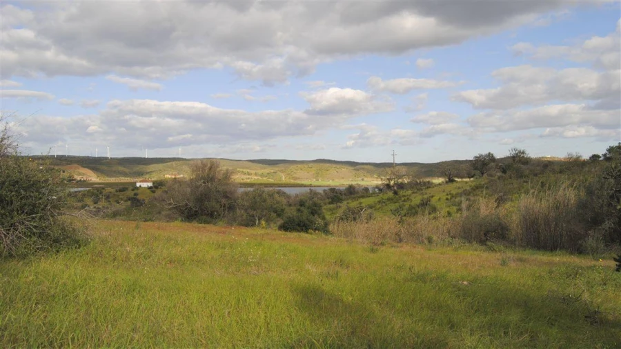 Terreno Agricola ou Rústico para Venda em Azinhal Foto 1