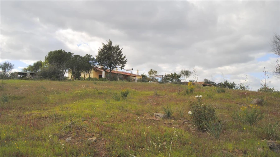 Terreno Agricola ou Rústico para Venda em Azinhal Foto 7