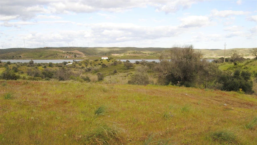 Terreno Agricola ou Rústico para Venda em Azinhal Foto 5