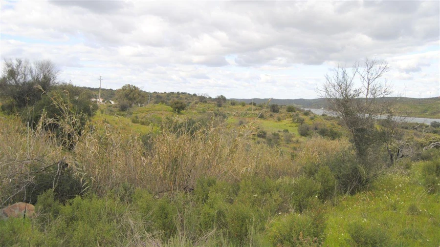 Terreno Agricola ou Rústico para Venda em Azinhal Foto 9