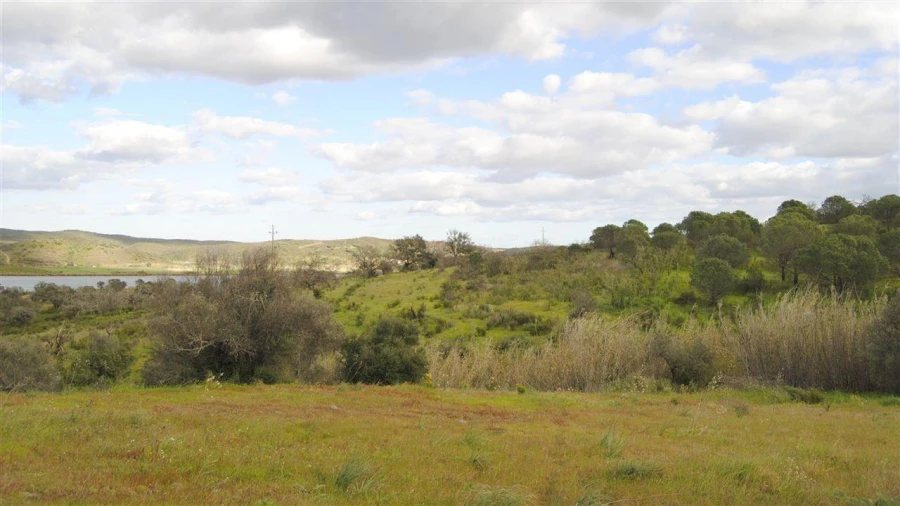 Terreno Agricola ou Rústico para Venda em Azinhal Foto 4