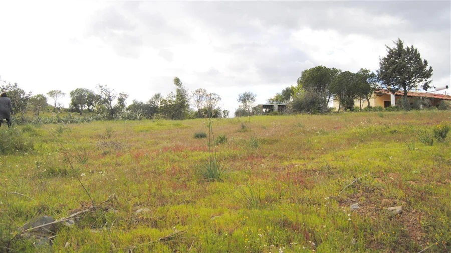 Terreno Agricola ou Rústico para Venda em Azinhal Foto 8