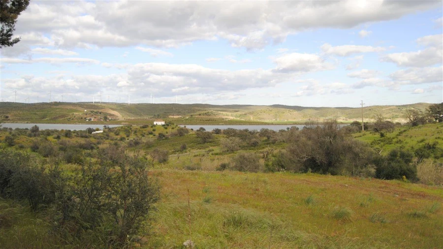Terreno Agricola ou Rústico para Venda em Azinhal Foto 3