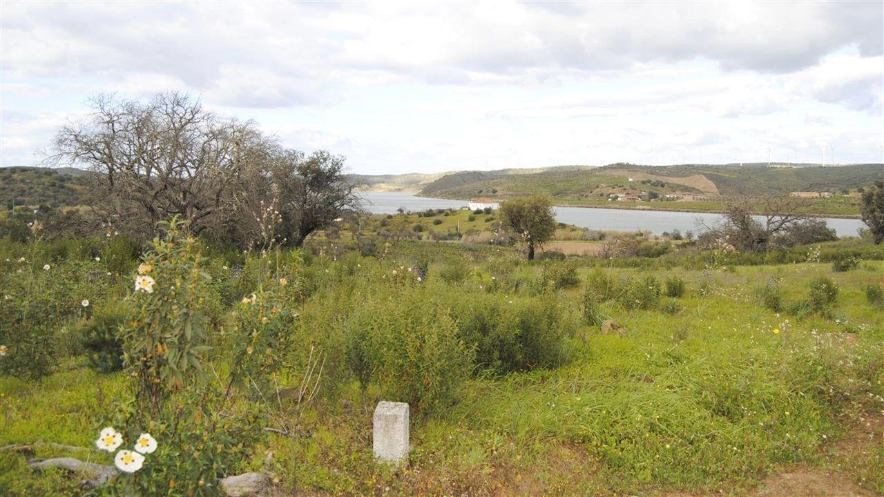 Terreno Agricola ou Rústico para Venda em Azinhal Foto 2
