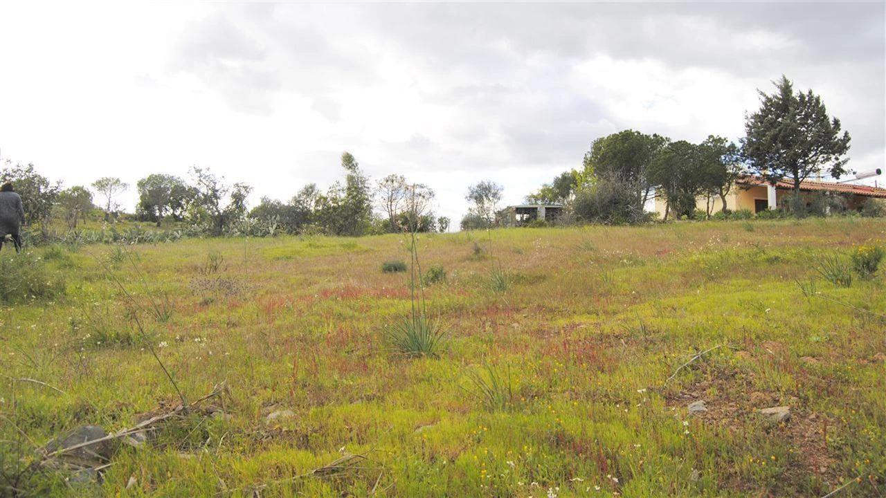 Terreno Agricola ou Rústico para Venda em Azinhal Foto 8