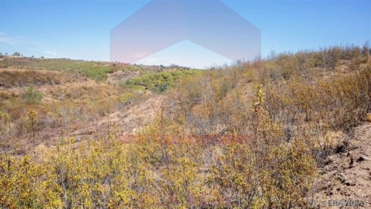 Terreno Agricola ou Rústico para Venda em Azinhal Foto 5