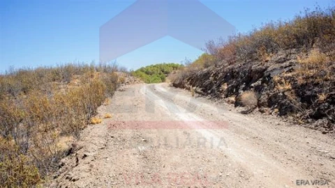 Terreno Agricola ou Rústico para Venda em Azinhal