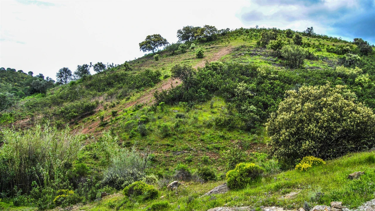 Terreno Agricola ou Rústico para Venda em Vila Nova de Cacela Foto 2