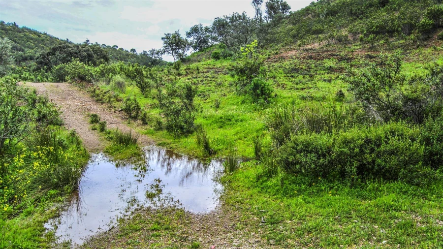 Terreno Agricola ou Rústico para Venda em Vila Nova de Cacela Foto 4