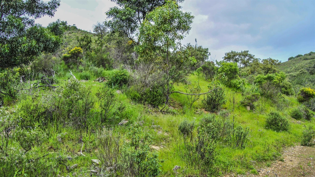 Terreno Agricola ou Rústico para Venda em Vila Nova de Cacela Foto 5
