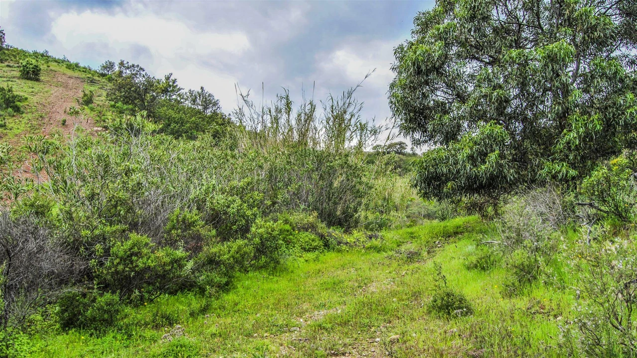 Terreno Agricola ou Rústico para Venda em Vila Nova de Cacela Foto 6