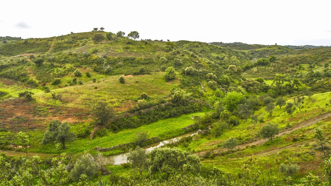 Terreno Agricola ou Rústico para Venda em Vila Nova de Cacela Foto 5