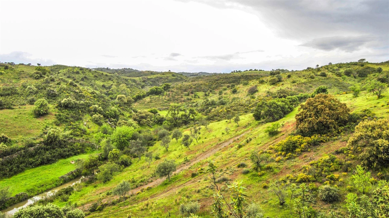 Terreno Agricola ou Rústico para Venda em Vila Nova de Cacela Foto 6