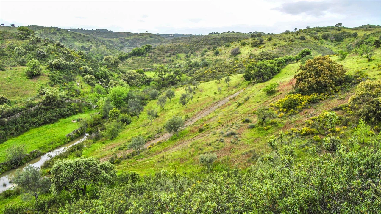 Terreno Agricola ou Rústico para Venda em Vila Nova de Cacela Foto 2