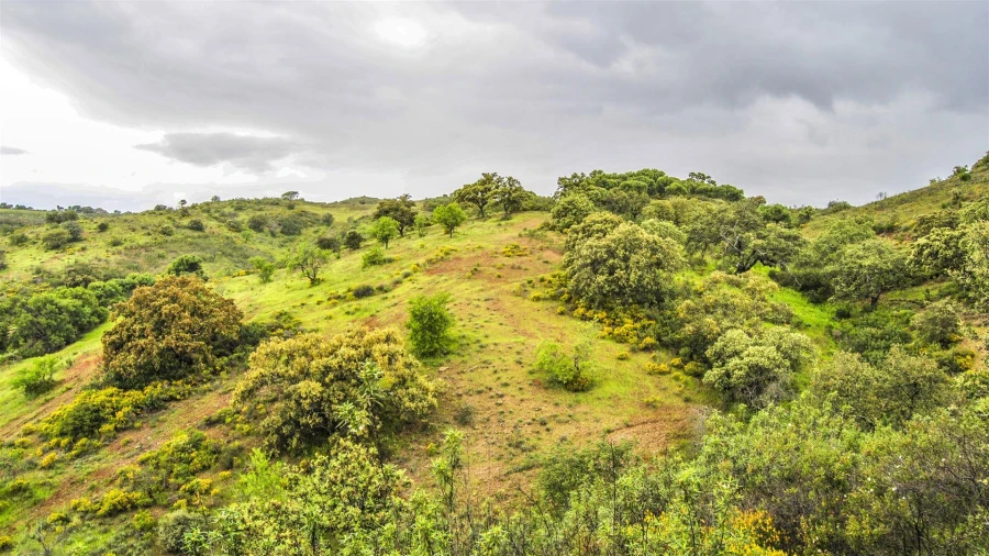 Terreno Agricola ou Rústico para Venda em Vila Nova de Cacela Foto 3