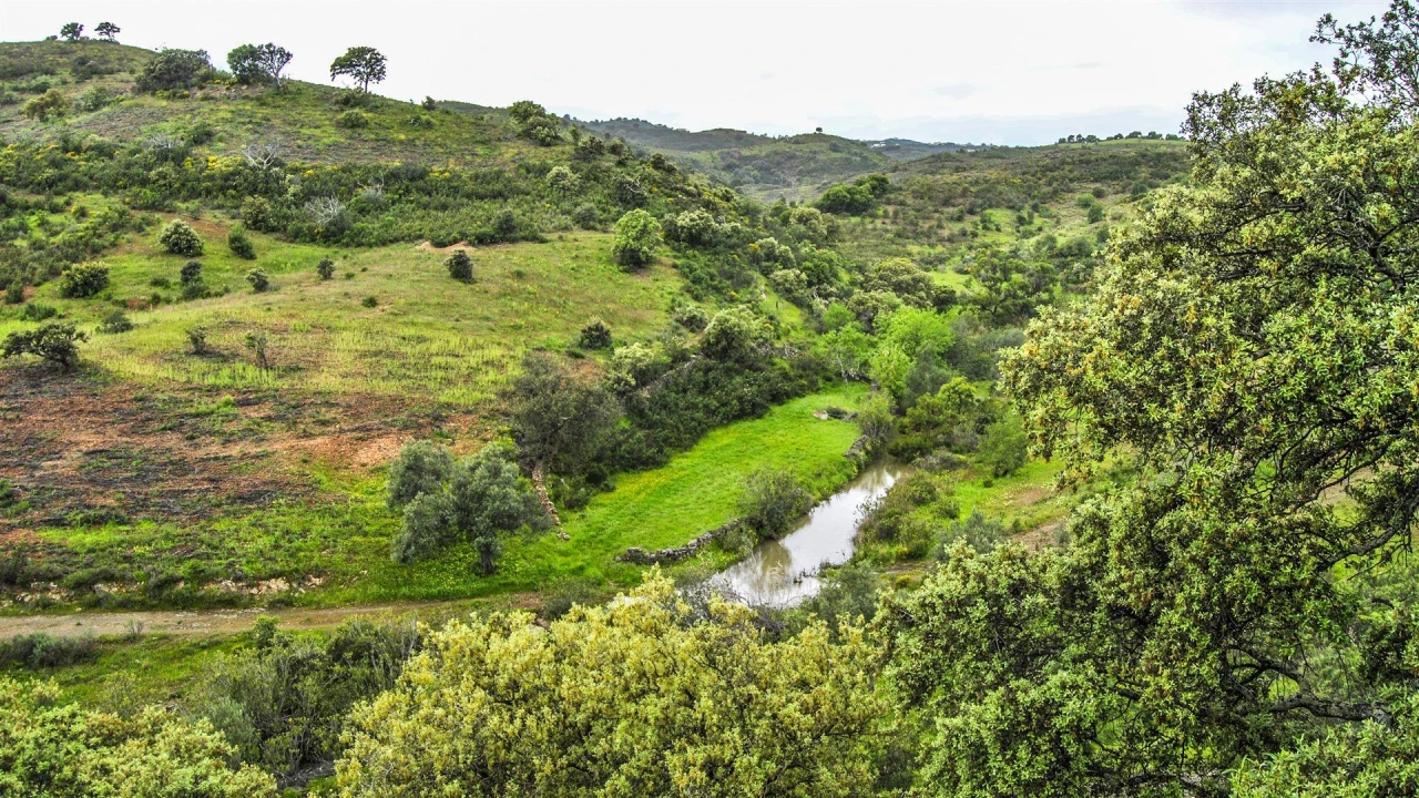 Terreno Agricola ou Rústico para Venda em Vila Nova de Cacela Foto 1