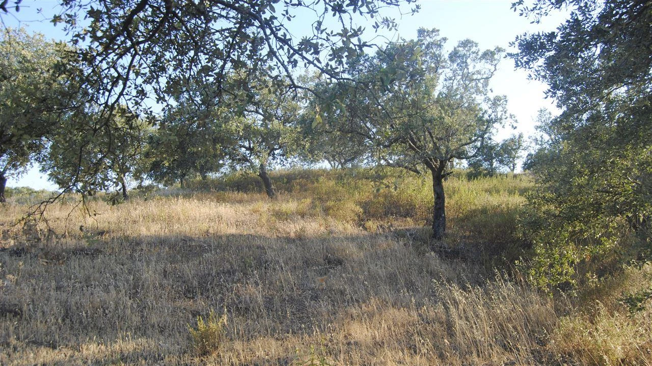 Terreno Agricola ou Rústico para Venda em Odeleite Foto 5