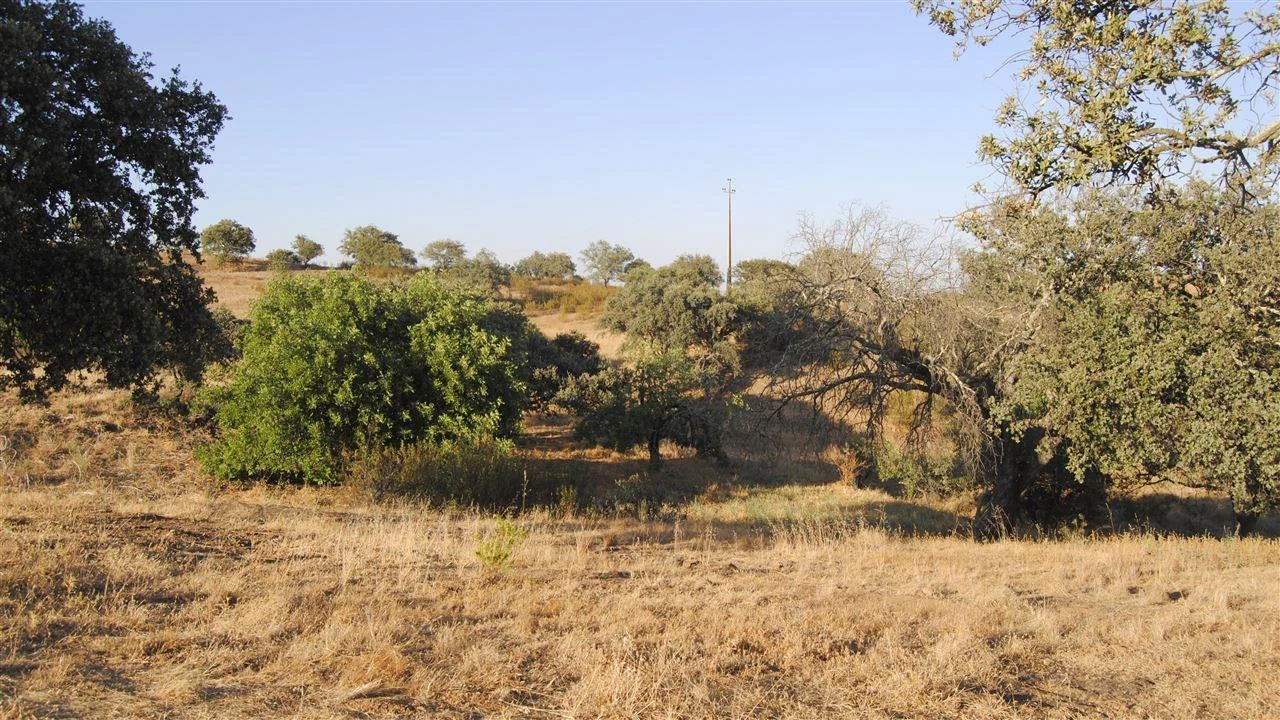 Terreno Agricola ou Rústico para Venda em Odeleite Foto 1