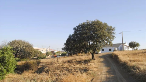 Terreno Agricola ou Rústico para Venda em Odeleite