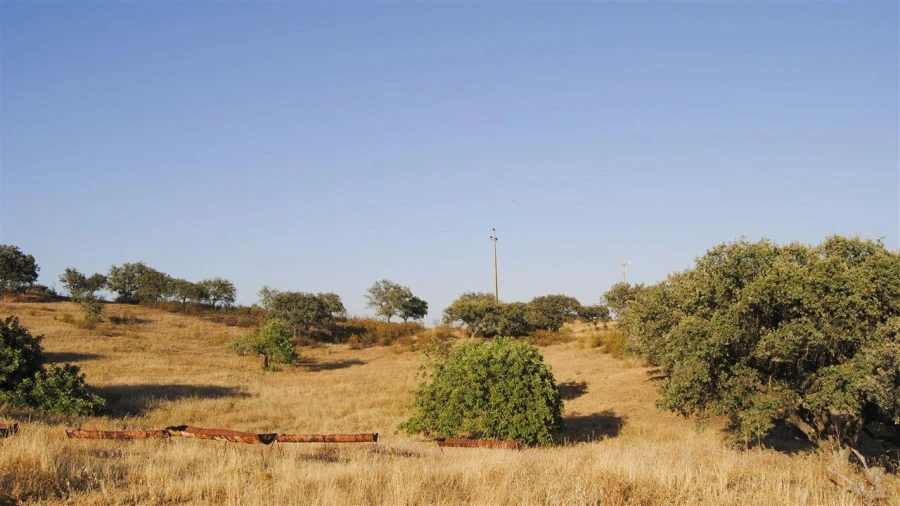 Terreno Agricola ou Rústico para Venda em Odeleite Foto 3
