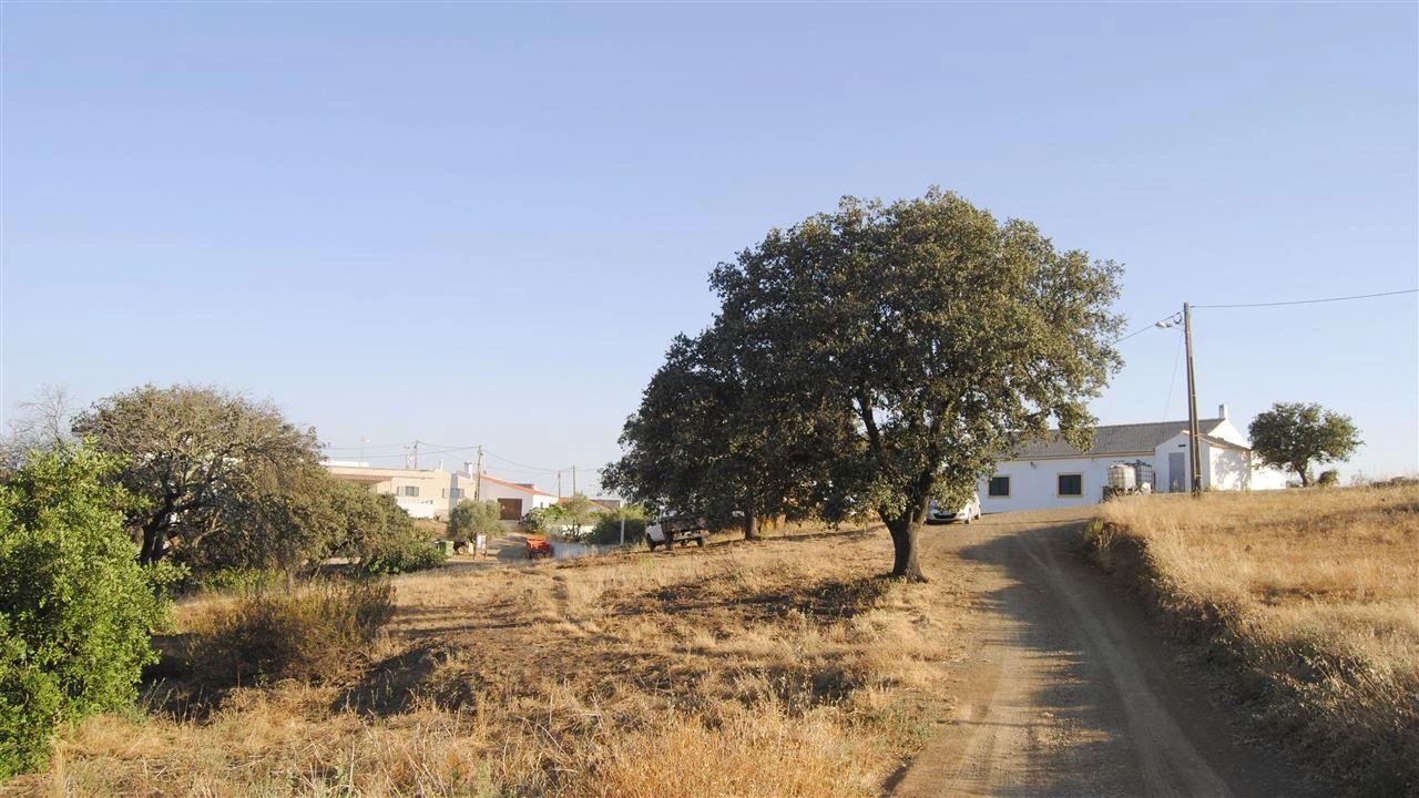 Terreno Agricola ou Rústico para Venda em Odeleite Foto 4
