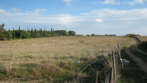 Terreno para Venda em Vila Nova de Cacela