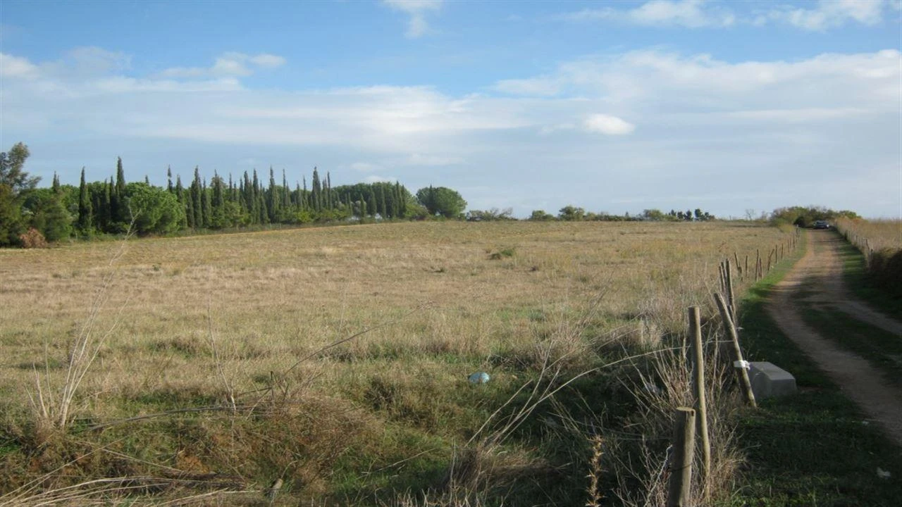 Terreno para Venda em Vila Nova de Cacela Foto 3