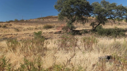 Terreno Agricola ou Rústico para Venda em Castro Marim
