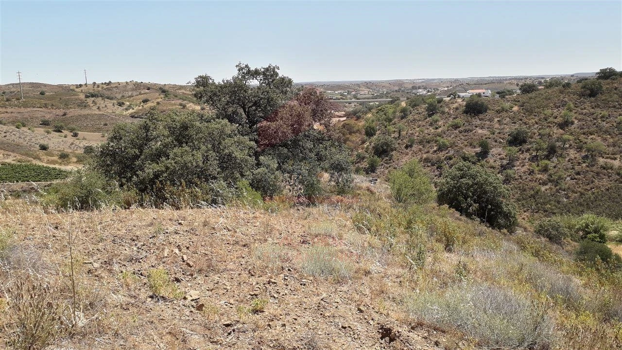 Terreno Agricola ou Rústico para Venda em Castro Marim Foto 3