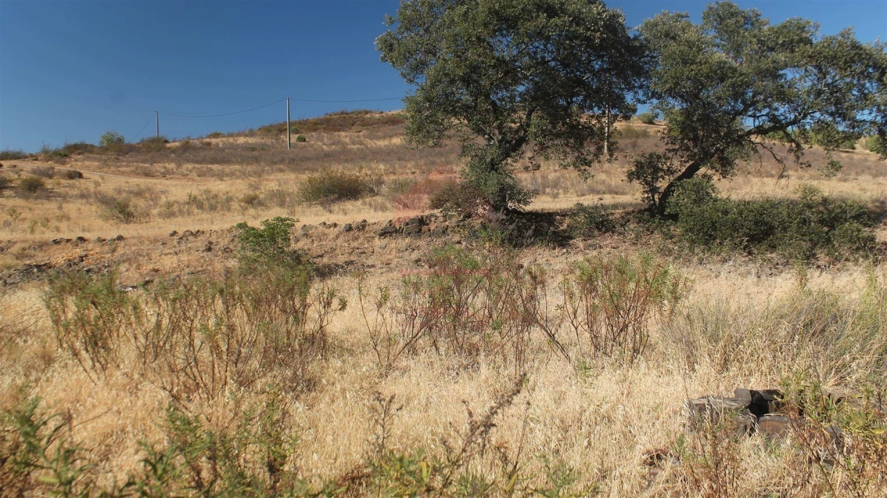 Terreno Agricola ou Rústico para Venda em Castro Marim Foto 2