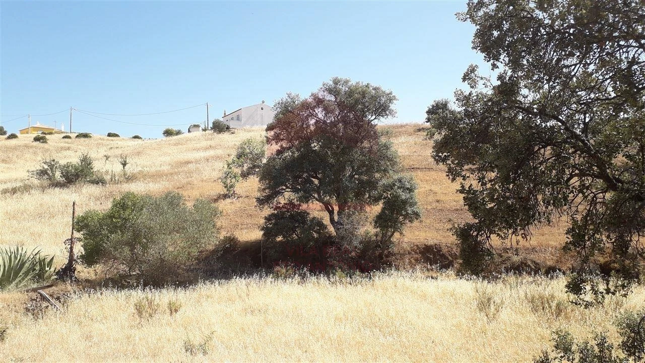 Terreno Agricola ou Rústico para Venda em Castro Marim Foto 4
