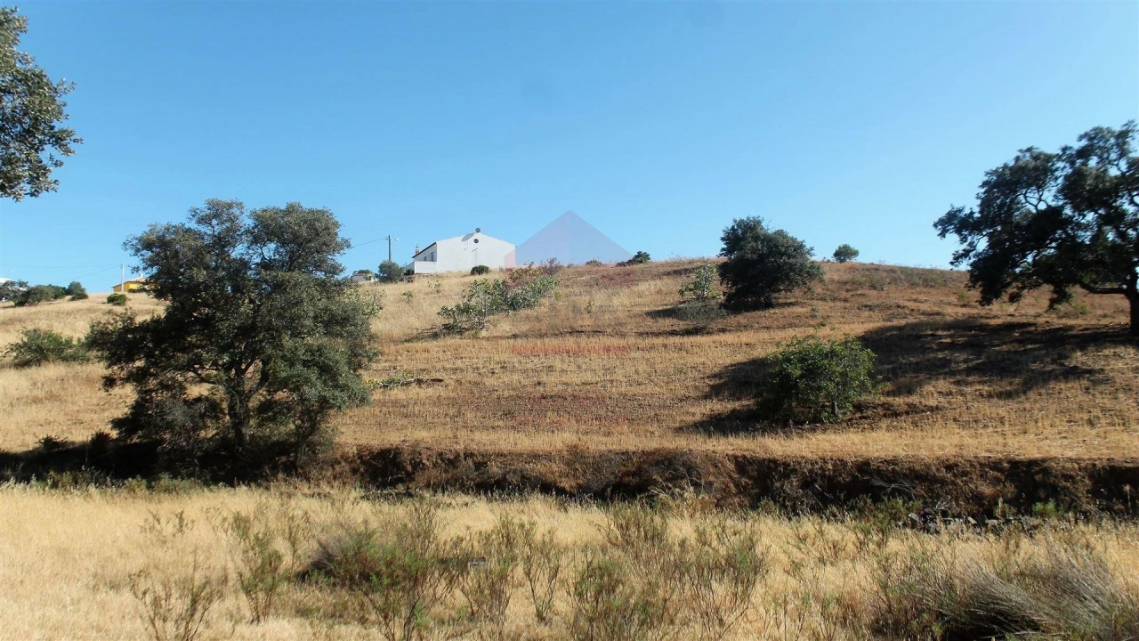 Terreno Agricola ou Rústico para Venda em Castro Marim Foto 1