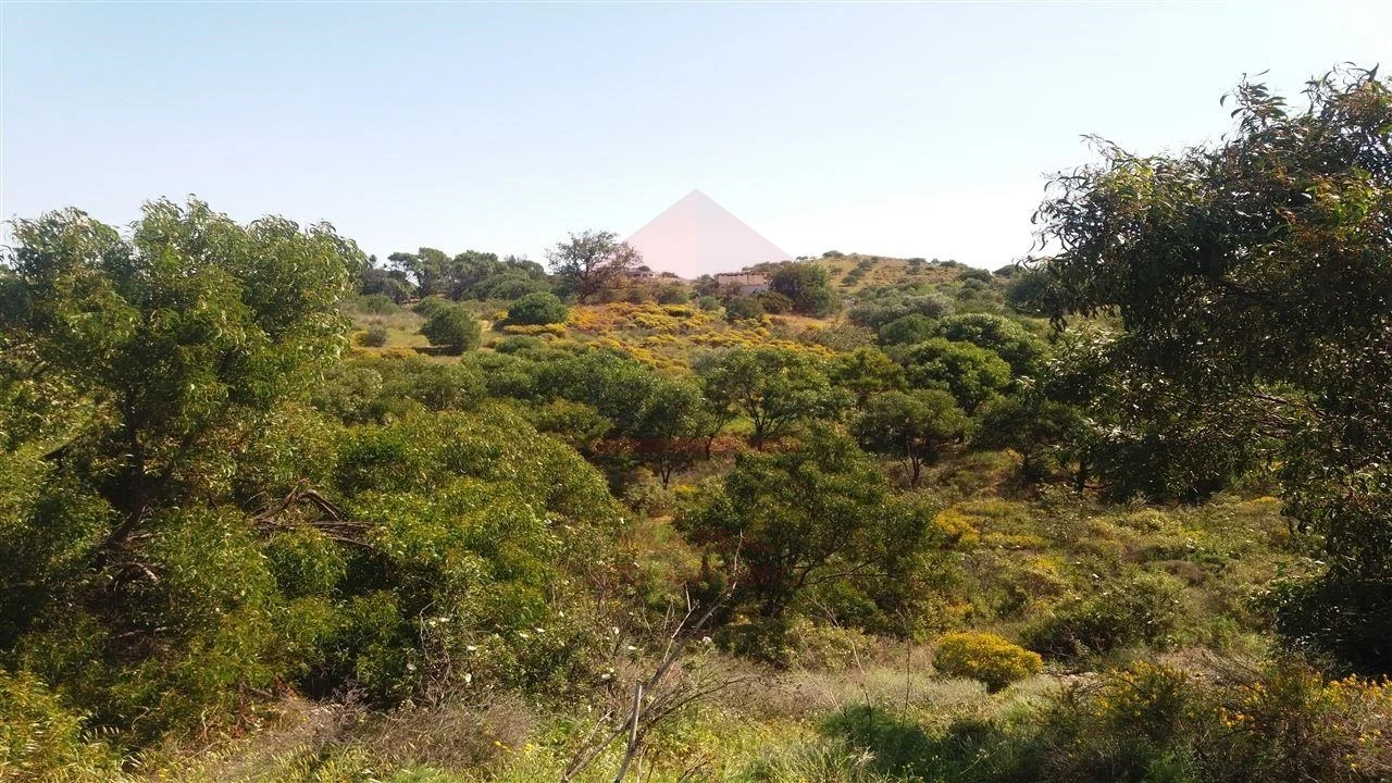 Terreno Misto para Venda em Vila Nova de Cacela Foto 3