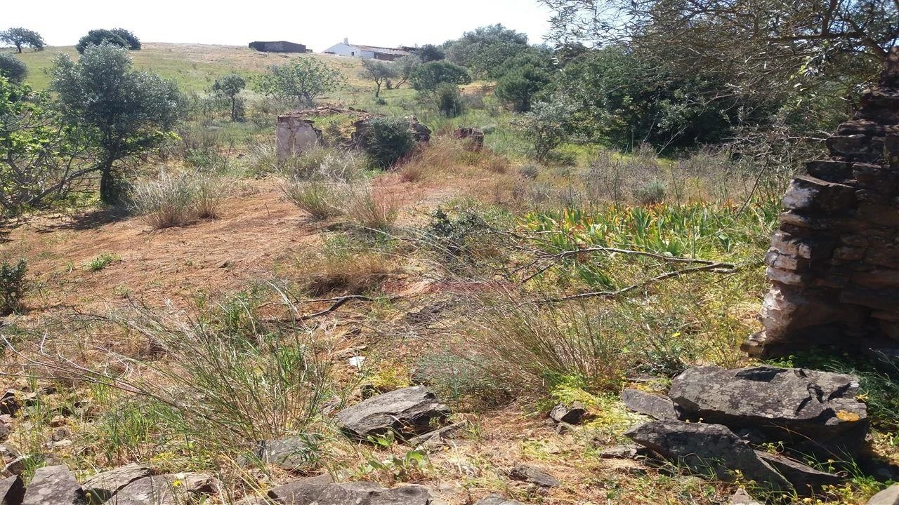 Terreno Misto para Venda em Vila Nova de Cacela Foto 5