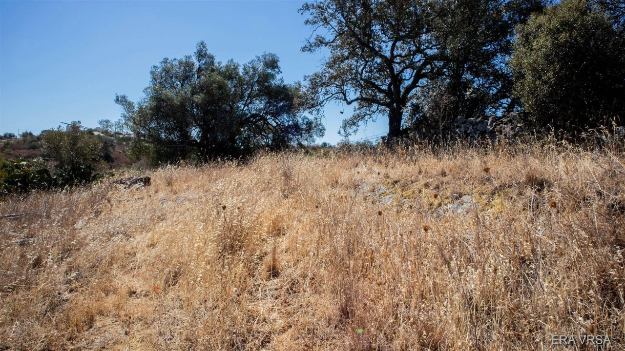 Terreno Agricola ou Rústico para Venda em Alcoutim e Pereiro Foto 5