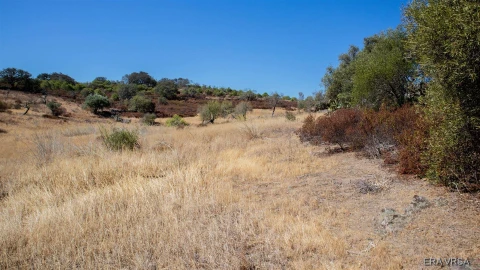 Terreno Agricola ou Rústico para Venda em Alcoutim e Pereiro