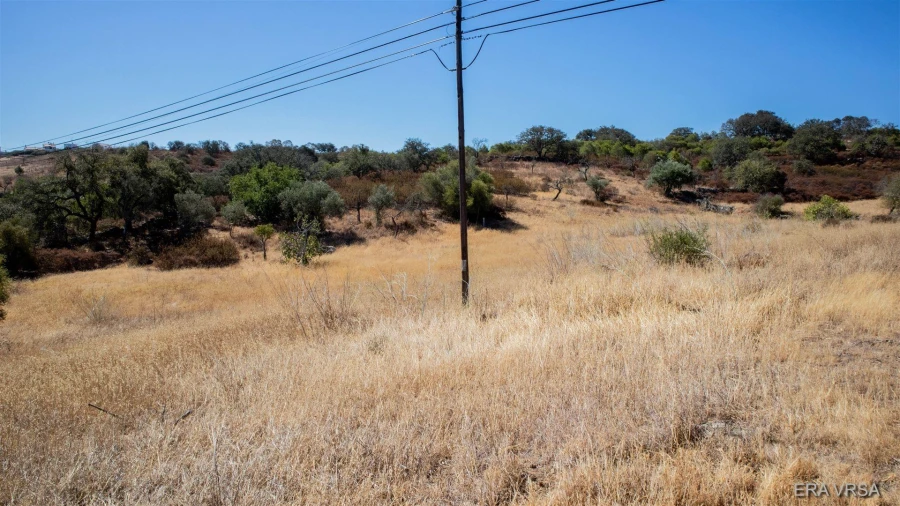 Terreno Agricola ou Rústico para Venda em Alcoutim e Pereiro Foto 2