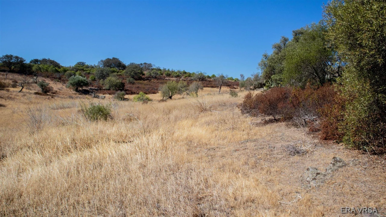Terreno Agricola ou Rústico para Venda em Alcoutim e Pereiro Foto 1