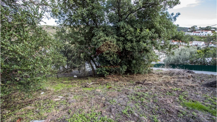 Moradia T0 para Venda em Odeleite Foto 5