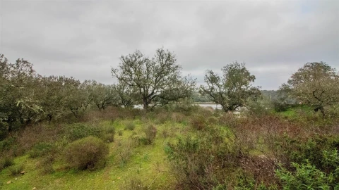 Terreno Agricola ou Rústico para Venda em Odeleite